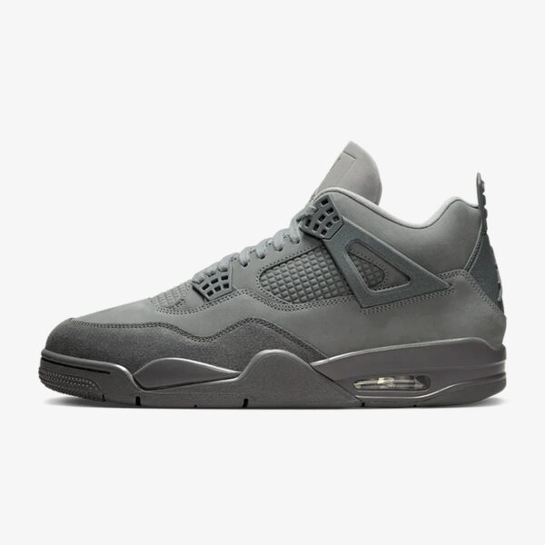 Air Jordan 4 Paris Olympics Wet Cement - vedere laterală